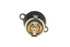 Термостат Ford Transit Connect/Fiesta 1.0 EcoBoost 13- (50°C) FEBI BILSTEIN 173939 (фото 5)