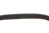 Ремінь генератора VW Golf V/Passat/Touran 1.4TSI 05-/Skoda Fabia 1.4 TSI RS 10-14 (5PK491) FEBI BILSTEIN 176318 (фото 3)