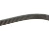 Ремень генератора VW Caddy IV/V 15-/T7 2.0 TSi 21- (6PK1005) FEBI BILSTEIN 177991 (фото 4)