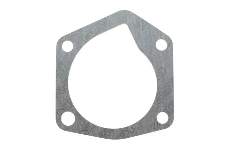 Прокладка помпи води VW Lupo/Skoda Fabia 1.0-1.4 99-07 FEBI BILSTEIN 178620