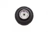 Подушка двигуна (передня) (R) MB E-class (W210)/S-class (W220) 3.2CDI 99-05 FEBI BILSTEIN 17953 (фото 6)