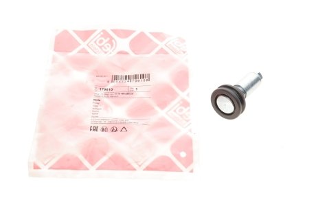 Ролик дверей (бічних/верхній) Renault Master/Opel Movano 10- FEBI BILSTEIN 179610