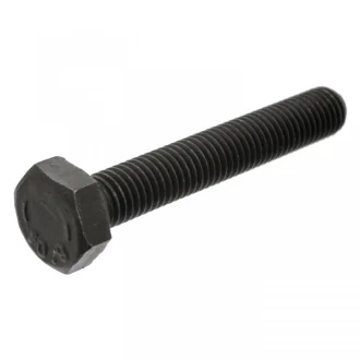 Болт колінвалу VW Golf/ Jetta/ Passat/ Polo (M10) FEBI BILSTEIN 18160