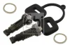 Лів/Прав DAF 65, 65 CF, 75, 75 CF, 85, 85 CF, 95, 95 XF, CF 65, CF 75, CF 85, XF 105, XF 95 09.87- FEBI BILSTEIN 18721 (фото 1)