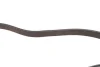 Ремінь генератора BMW 3 (G20/G80/G28)/5 (G30/F90)/X5 (G05/F95) 2.0D B47 16- FEBI BILSTEIN 188463 (фото 3)