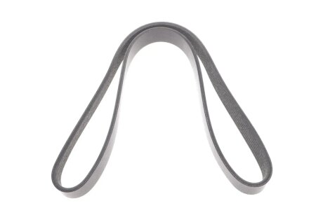 Ремінь генератора Renault Duster 1.6 SCe 19- FEBI BILSTEIN 188465