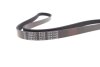Ремінь генератора MB Sprinter (W907/W910) 2.2CDI (OM651) 18- FEBI BILSTEIN 188477 (фото 4)