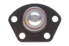 Опора кульова (передня/знизу) Fiat Ducato/Peugeot Boxer (1.8t) 02-06 FEBI BILSTEIN 22269 (фото 4)