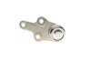 Опора кульова (передня/знизу) Ford Focus II 1.4-2.0TDCi 03-13 FEBI BILSTEIN 24849 (фото 3)