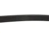 Ремінь генератора Fiat Doblo 1.4 05- (5PK1145) FEBI BILSTEIN 28856 (фото 3)