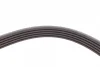 Ремінь генератора Audi A4/ A6/ VW Passat 1.9 TDI 95-01 (5PK1590) FEBI BILSTEIN 28882 (фото 3)
