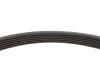 Ремінь генератора VW T6 2.0 TSI 15- (6PK1113) FEBI BILSTEIN 28924 (фото 2)