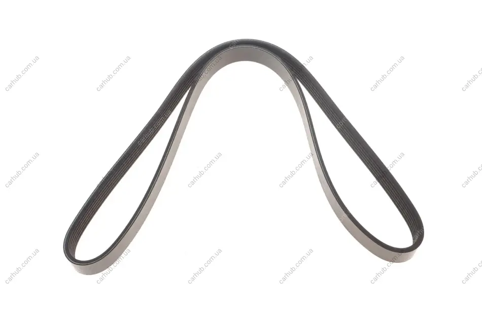 Ремінь генератора VW Caddy/T5 1.9TDI/2.0SDI 04-10/Renault Laguna/Megane/Trafic 1.9dTi/dCi 96-01 FEBI BILSTEIN 28927 (фото 1)