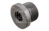 Пробка зливу оливи FEBI BILSTEIN 31702