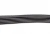 Ремінь генератора VW T5 1.9TDI/VW Caddy III 1.9/2.0TDI (+AC) FEBI BILSTEIN 34459 (фото 2)