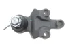 Опора кульова (передня/знизу) Kia Sorento I 02-11 FEBI BILSTEIN 41689 (фото 4)