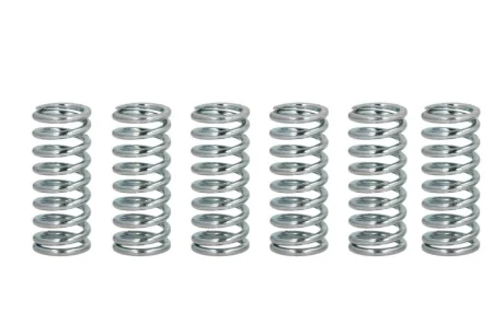 Комплект пружин зчеплення HONDA CB, CBR, VFR KAWASAKI KZ, Z, ZX, ZZR TRIUMPH DAYTONA, TIGER 600-1300 1979-2007 FERODO FSS0114