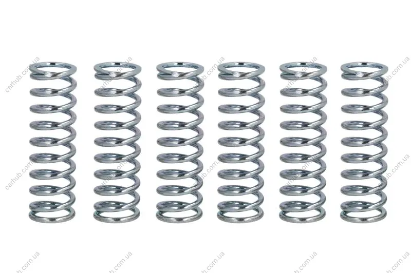 Комплект пружин зчеплення YAMAHA FZ, FZ6, FZR, FZX, TDM, TRX, XJ, XTZ, YZF, YZF-R6 600-1000 1985-2010 FERODO FSS0203 (фото 1)