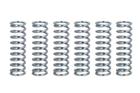 Комплект пружин зчеплення YAMAHA FZ, FZ6, FZR, FZX, TDM, TRX, XJ, XTZ, YZF, YZF-R6 600-1000 1985-2010 FERODO FSS0203