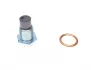 Болт зливу оливи + шайба Citroen BX/Peugeot 205/309/405 -96 (M16x1.5) FA1 Fischer Automotive One (FA1) 153.520.011 (фото 4)