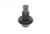 Болт зливу оливи Ford Mondeo 94-07 (M12x1.75) FA1 Fischer Automotive One (FA1) 862.363.001 (фото 1)