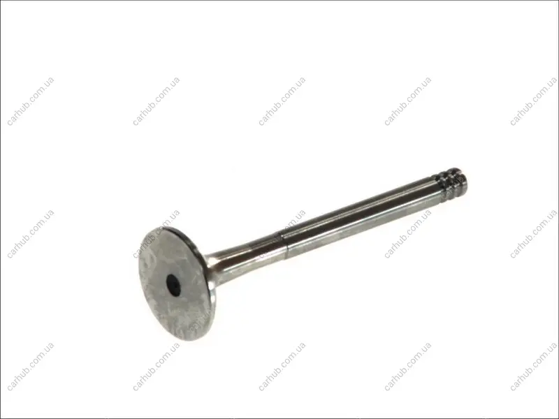 Випускний клапан (31,2x8x95,5) VW GOLF II, JETTA II, LT 28-35 I, LT 40-55 I, PASSAT B3/B4 1.6D/2.4D 12.82-06.96 FRECCIA 4297/R (фото 1)