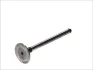 Впускний клапан (35x8x110,5) VOLVO S40 I, V40 OPEL ARENA RENAULT CLIO I, CLIO II, KANGOO, KANGOO EXPRESS, MEGANE I, MEGANE I CLASSIC, MEGANE SCÉNIC, SCENIC I, THALIA I, TRAFIC 1.9D 01.91- FRECCIA 4719/S (фото 1)