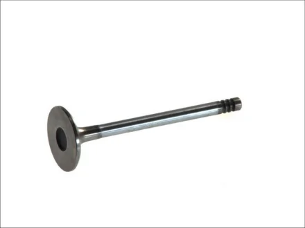 Впускний клапан (36,5x8x107) FORD C-MAX, FIESTA, FIESTA IV, FOCUS C-MAX, FOCUS I, FOCUS II, GALAXY II, MONDEO IV, S-MAX, TOURNEO CONNECT, TRANSIT CONNECT 1.8D 08.98-06.15 FRECCIA 6143/SCR