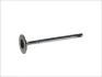 Впускний клапан (30x6x99) VOLVO C30, S40 I, S40 II, V40, V50 FORD C-MAX, C-MAX II, COURIER, ECOSPORT, FIESTA V, FOCUS C-MAX, FOCUS I, FOCUS II, FOCUS III, FUSION, GRAND C-MAX 1.4-1.6LPG 09.95- FRECCIA 6195/SCR (фото 2)