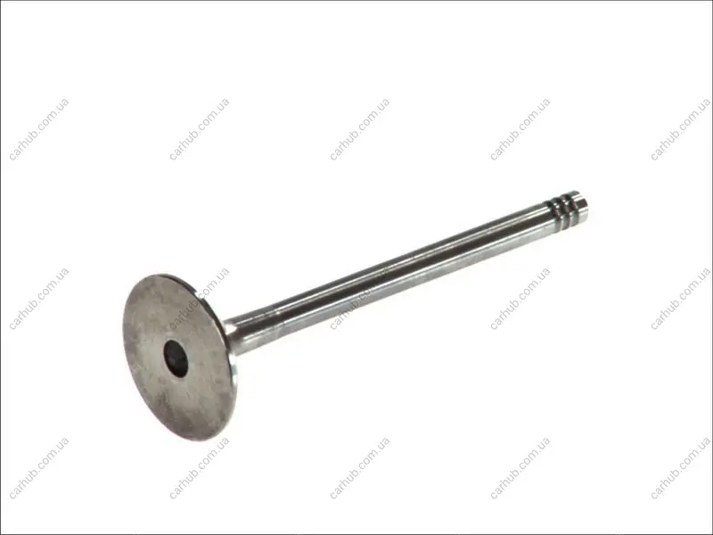 Випускний клапан (31,5x7x89) AUDI A2, A3, A4 B6, A4 B7 SEAT ALHAMBRA, ALTEA, ALTEA XL, CORDOBA, IBIZA III, IBIZA IV, IBIZA IV SC, LEON, TOLEDO III SKODA FABIA I 1.4D-2.5D 01.99-05.11 FRECCIA 6209/BM (фото 1)