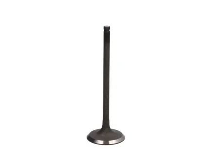 Впускний клапан (33,9x5,5x101,7) TOYOTA ALLION I, ALPHARD / VELLFIRE, ALPHARD I, AVENSIS, AVENSIS VERSO, CALDINA, CAMRY, GAIA, HARRIER, HIGHLANDER / KLUGER, ISIS, MARK X ZIO I 2.0/2.4 02.00- FRECCIA 6294/SNT