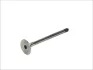 Випускний клапан (25,4x6x87,5) AUDI A3, A4 B7, A6 C6 CHRYSLER SEBRING DODGE AVENGER, CALIBER, JOURNEY JEEP COMPASS, PATRIOT MITSUBISHI GRANDIS, LANCER VIII, OUTLANDER II SEAT ALTEA 2.0D 02.03- FRECCIA 6373/BM (фото 1)