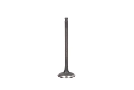 Впускний клапан (27,5x5x88,5) CITROEN C1, C1 II DAIHATSU CUORE VII, SIRION PEUGEOT 107, 108 SUBARU JUSTY IV TOYOTA AYGO, IQ, YARIS, YARIS / VIOS 1.0/1.0LPG 01.05- FRECCIA 6439/SNT