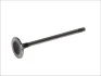 Впускний клапан (28,2x5,5x100,7) CITROEN C2, C3 I, C4, C4 I PEUGEOT 1007, 206, 207, 307 1.4 10.03- FRECCIA 6441/S (фото 1)