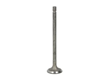 Випускний клапан (24,1x5,5x101,3) HYUNDAI I10 I, I10 II, I20 I, I20 II KIA PICANTO II, PICANTO III, RIO III, RIO IV, STONIC 1.2-1.2LPG 09.08- FRECCIA 6573/RNT