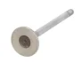 Впускний клапан (27,2x6x95,8) DS DS 4, DS 5, DS 7 CITROEN C4 GRAND PICASSO II, C4 II, C4 PICASSO II, C4 SPACETOURER, C5 AIRCROSS, C5 II, C5 III, C6, C8, C-CROSSER 2.0D/2.2D 03.06- FRECCIA 6595/SCR (фото 2)