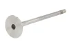Випускний клапан (25x5x99,3) MAN TGE AUDI A3, A4 B9, A5, A6 C8, A7, Q2, Q3, Q5 CUPRA FORMENTOR, LEON, LEON SPORTSTOURER SEAT ATECA, LEON, LEON SPORTSTOURER, TARRACO SKODA KAROQ 2.0D/2.0DH 08.14- FRECCIA 6993/BM (фото 2)