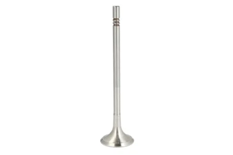Випускний клапан (25x5x99,3) MAN TGE AUDI A3, A4 B9, A5, A6 C8, A7, Q2, Q3, Q5 CUPRA FORMENTOR, LEON, LEON SPORTSTOURER SEAT ATECA, LEON, LEON SPORTSTOURER, TARRACO SKODA KAROQ 2.0D/2.0DH 08.14- FRECCIA 6993/BM