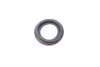 Ремкомплект супорта (заднього) Honda Accord 91-93/Mazda MX-5 05-14 (d=38mm) (Nih/Nissin) FRENKIT 238025 (фото 9)