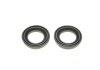 Фото 4 - ремкомплект супорта (переднього) Nissan X-Trail 01-13 (d=45mm) (+ 2 поршня) (Akebono) FRENKIT 245950 Ремкомплект супорта (переднього) Nissan X-Trail 01-13 (d=45mm) (+ 2 поршня) (Akebono) FRENKIT 245950 (фото 4)