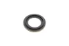 Ремкомплект супорта (переднього) Nissan Navara/NP300 01- (d=46mm)(+2 поршні) (Niss) FRENKIT 246910 (фото 4)