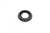 Ремкомплект супорта (заднього) Mazda 323 87-01 (d=30mm)(+ поршень/направляюча) (Nabco) FRENKIT 730004 (фото 8)