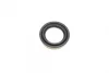 Ремкомплект супорта (заднього) MB Vito (W639) 03- (d=38mm) (Bosch) (+поршень/направляюча) FRENKIT 738128 (фото 8)