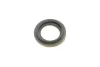 Ремкомплект супорта (заднього) Hyundai Terracan 01-06 (d=43mm) (+поршень) (Mando) (+поршень/направляюча) SuperKit FRENKIT 743373 (фото 5)