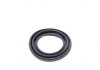 Ремкомплект супорта (переднього) Nissan NP300 05- (d=46mm) (Niss)(+2 поршня/направляюча) SuperKit FRENKIT 746296 (фото 3)