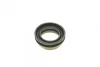 Ремкомплект супорта (переднього) MB M-class (W166) 11-16 (d=48mm)(Ate)(+2 поршня/направляюча) Super FRENKIT 748305 (фото 2)