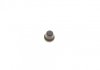 Ремкомплект супорта (переднього) MB Vito (W639) 03- (d=48mm)(Bosch)(+2 поршня/направляюча) SuperKit FRENKIT 748342 (фото 6)