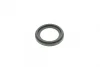 Ремкомплект супорта (заднього) Citroen Jumper/Peugeot Boxer 06- (d=52mm)(Brembo)(+1 поршен/направляє) FRENKIT 752395 (фото 13)