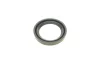 Ремкомплект супорта (переднього) Fiat Palio 97-12 (d=54mm)(Bosch)(+поршнь/направляюча) SuperKit FRENKIT 754397 (фото 7)