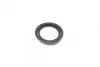 Ремкомплект супорта (переднього) VW T4 90-03 (d=54mm)(TRW)(+1 поршень/направляюча) SuperKit FRENKIT 754437 (фото 7)